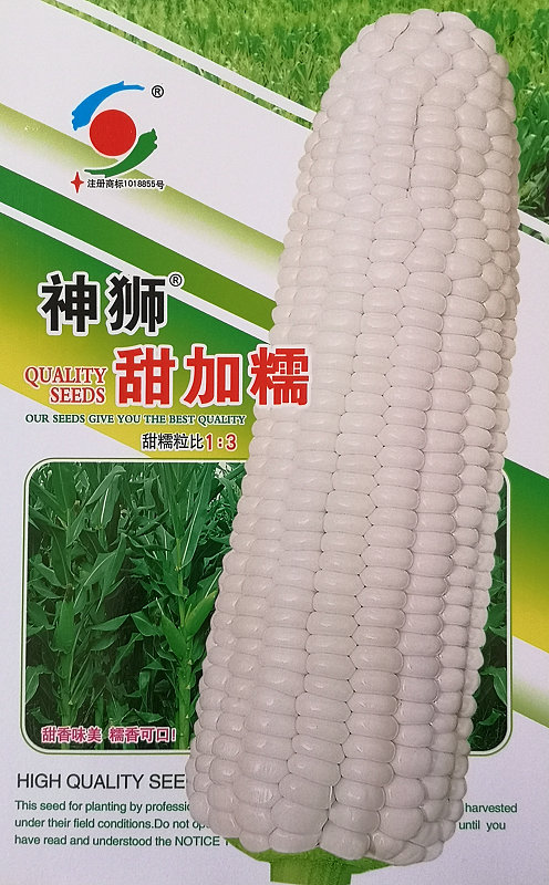 Shenshi Tianjianuo——Corn